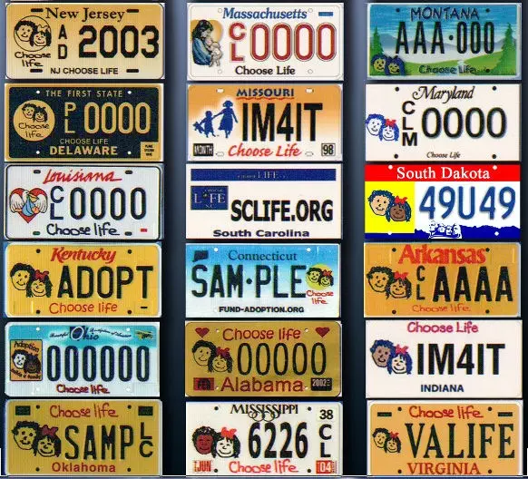 Choose Life License Plate for Michigan Enters Home Stretch