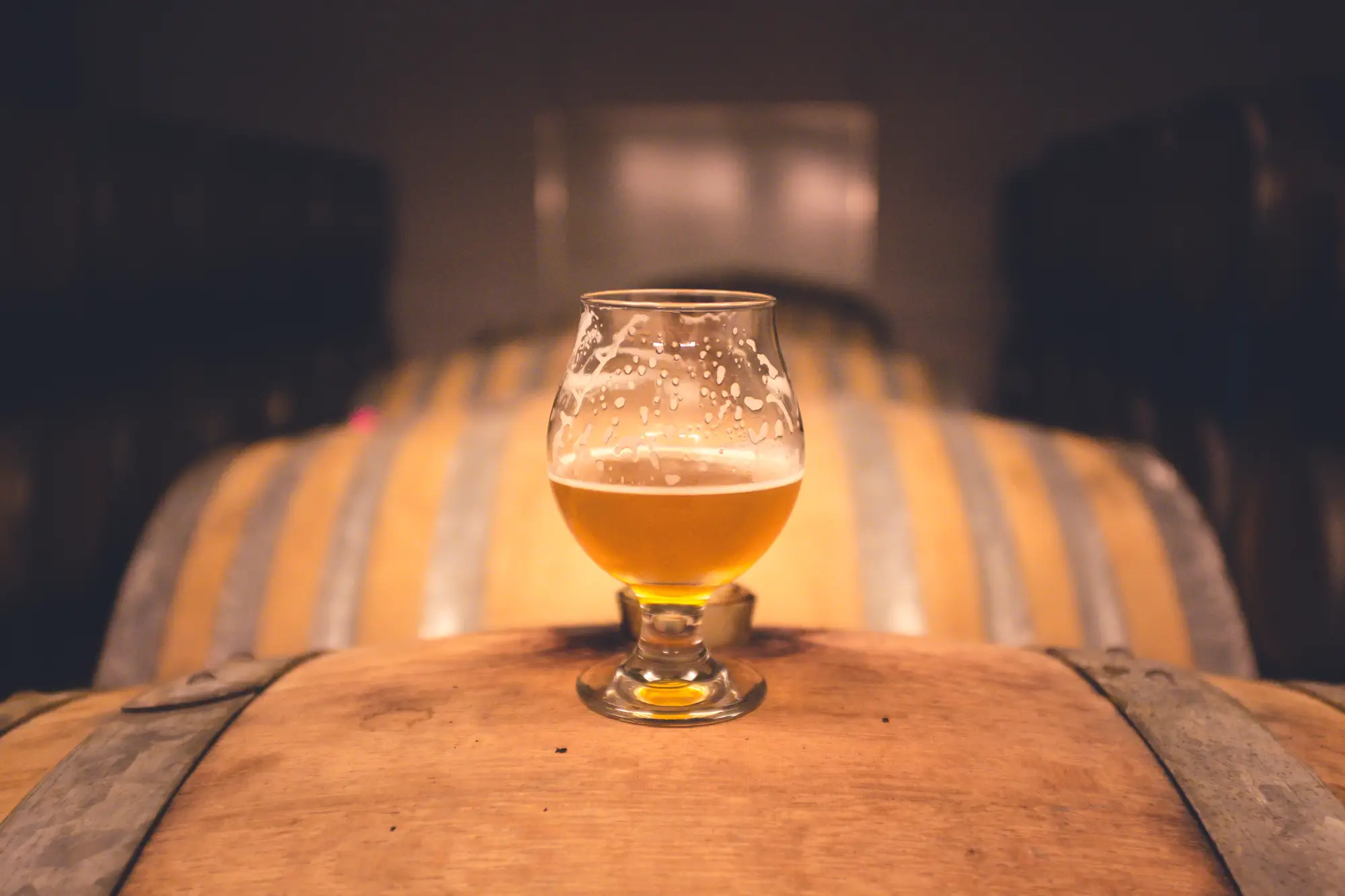 Euthanized – For Alcoholism