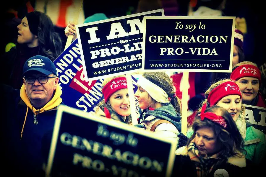 Diversity of the Pro-Life Movement